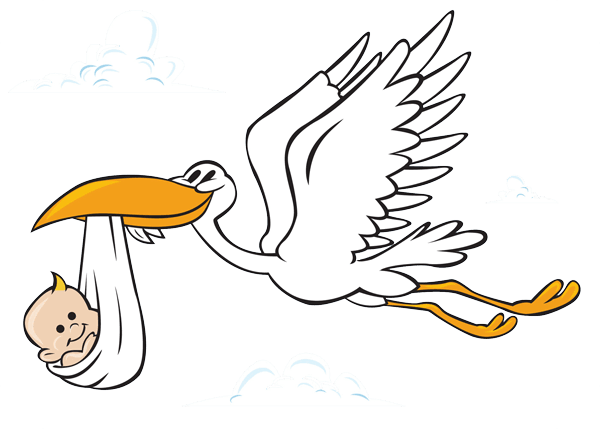 TrackStork.Com